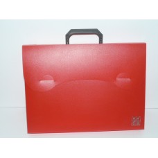 Red Carry Case
